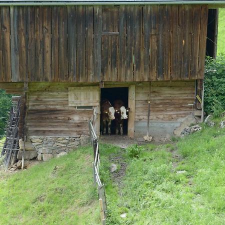 Bergpension-Ebental Brixen im Thale Εξωτερικό φωτογραφία