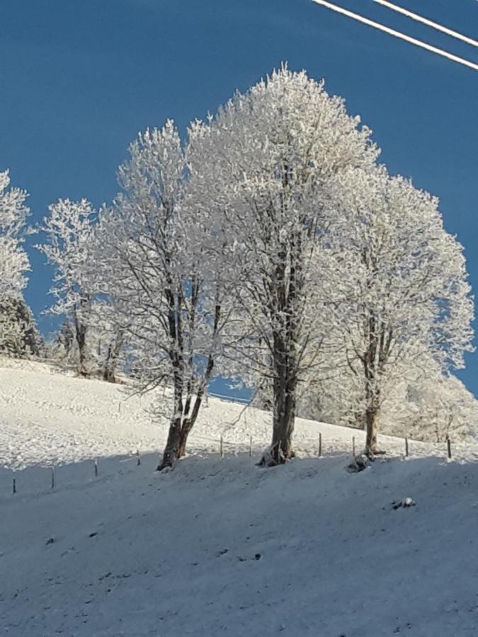 Bergpension-Ebental Brixen im Thale Εξωτερικό φωτογραφία