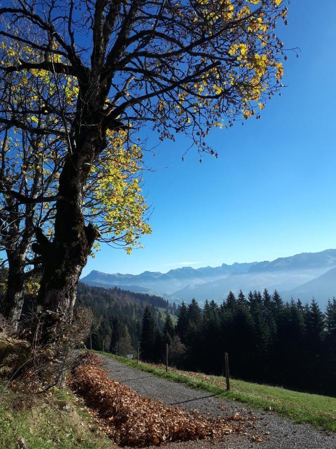Bergpension-Ebental Brixen im Thale Εξωτερικό φωτογραφία