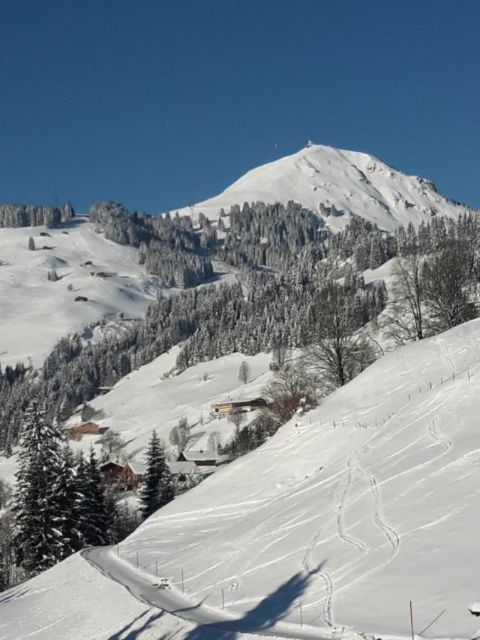 Bergpension-Ebental Brixen im Thale Εξωτερικό φωτογραφία