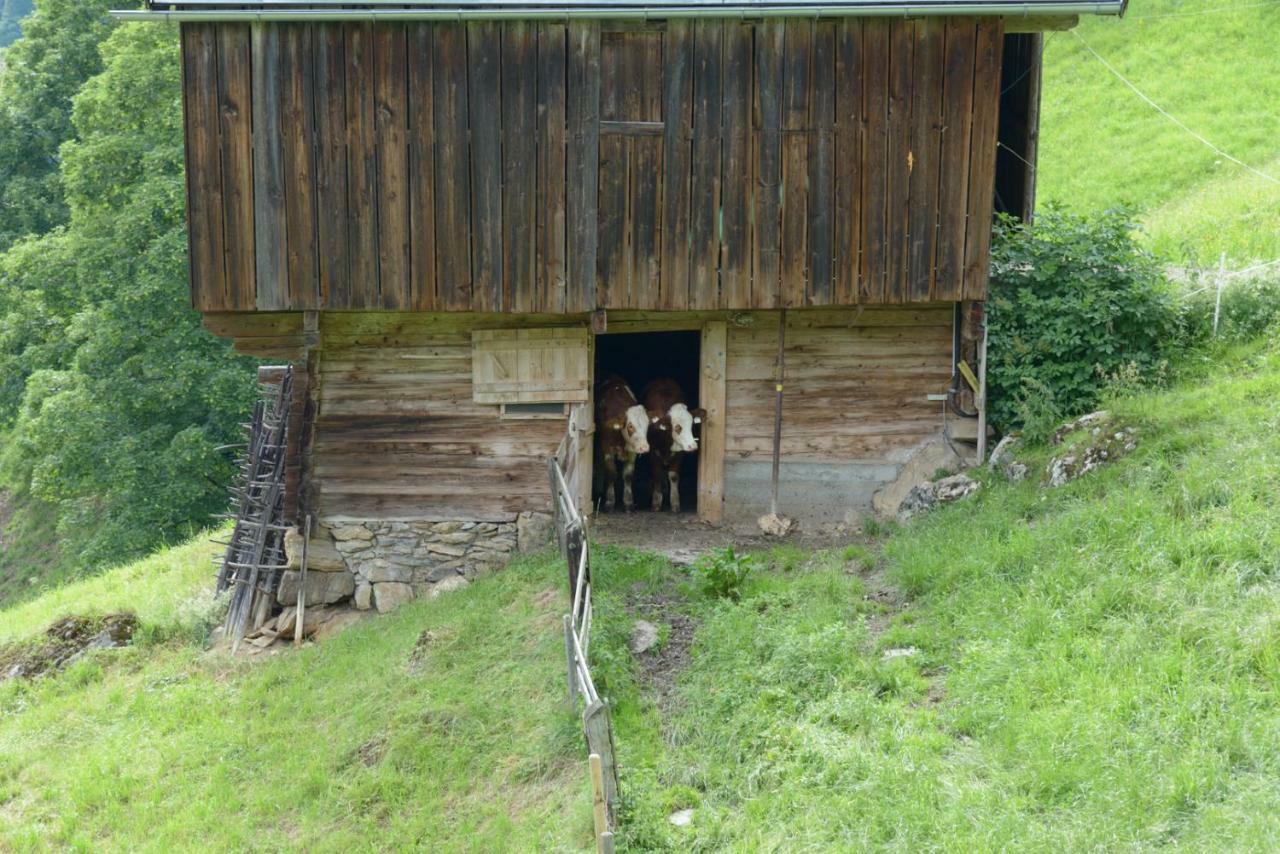 Bergpension-Ebental Brixen im Thale Εξωτερικό φωτογραφία